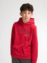 Afbeelding in Gallery-weergave laden, Hoodie SWH302
