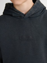 Lade das Bild in den Galerie-Viewer, Hoodie SWH332
