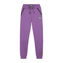 Afbeelding in Gallery-weergave laden, Sweatpants Bauke Purple
