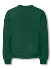 Lade das Bild in den Galerie-Viewer, Sweater Victory Life
