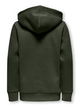 Afbeelding in Gallery-weergave laden, Hoodie Ceres Reg Vintage
