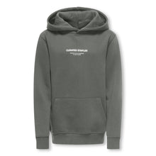 Lade das Bild in den Galerie-Viewer, Hoodie Curated Reg
