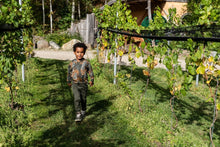 Charger l&#39;image dans la galerie, Hoodie Q52810
