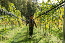 Charger l&#39;image dans la galerie, Broek Q52812
