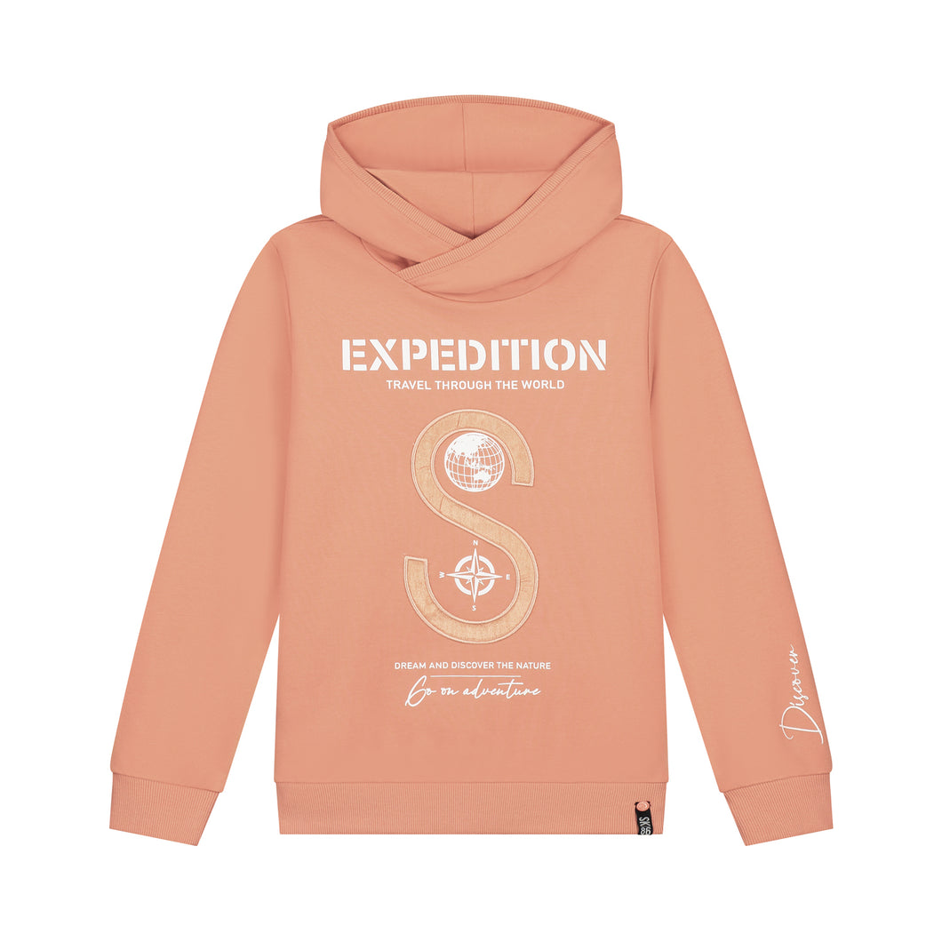 Hoodie Seb Peach